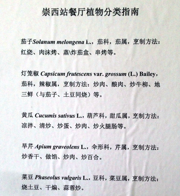 崇西站餐厅植物分类指南02_副本 崇西站餐厅植物分类指南02_副本